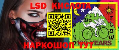 Альфа ПВП Можга