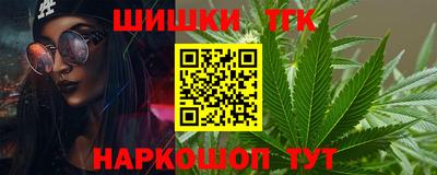 Альфа ПВП Можга