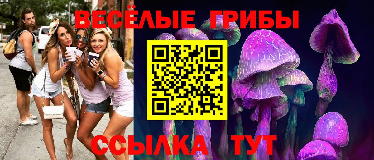 Вичуга  Галлюциногенные грибы Magic Shrooms  Вход с VPN 