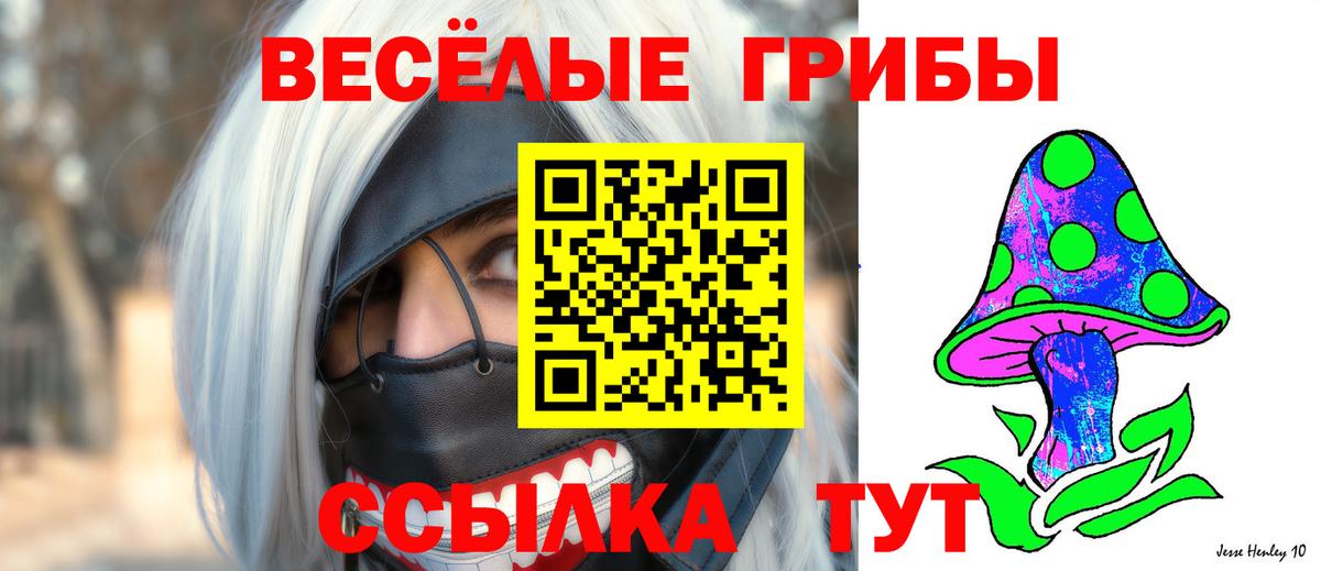 Галлюциногенные грибы мухоморы Вичуга